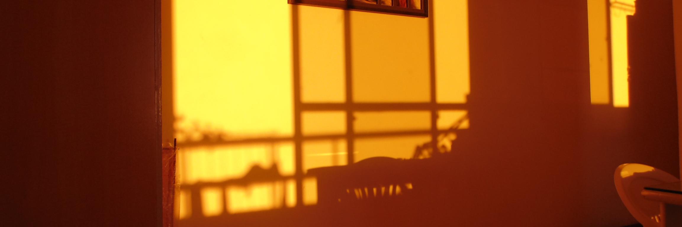 mateus ferreira banner