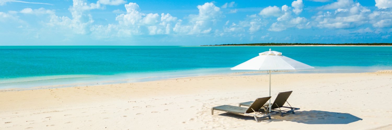 Laura Dowrich banner