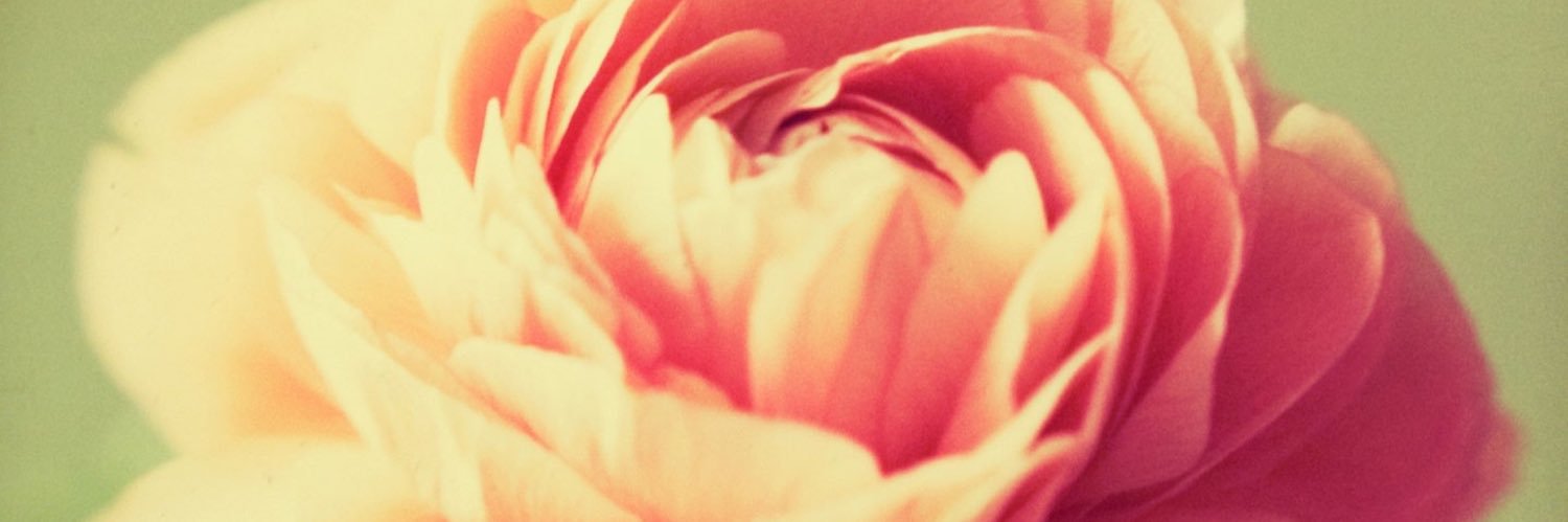 dheale74's profile banner image