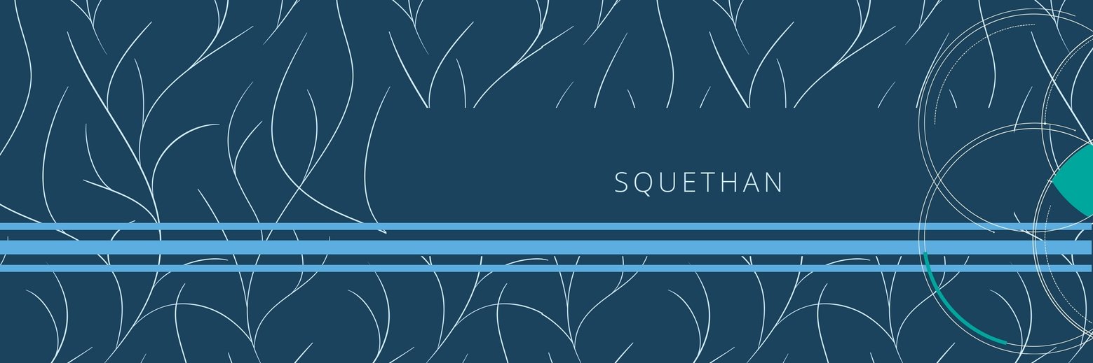 Squethan's profile banner image