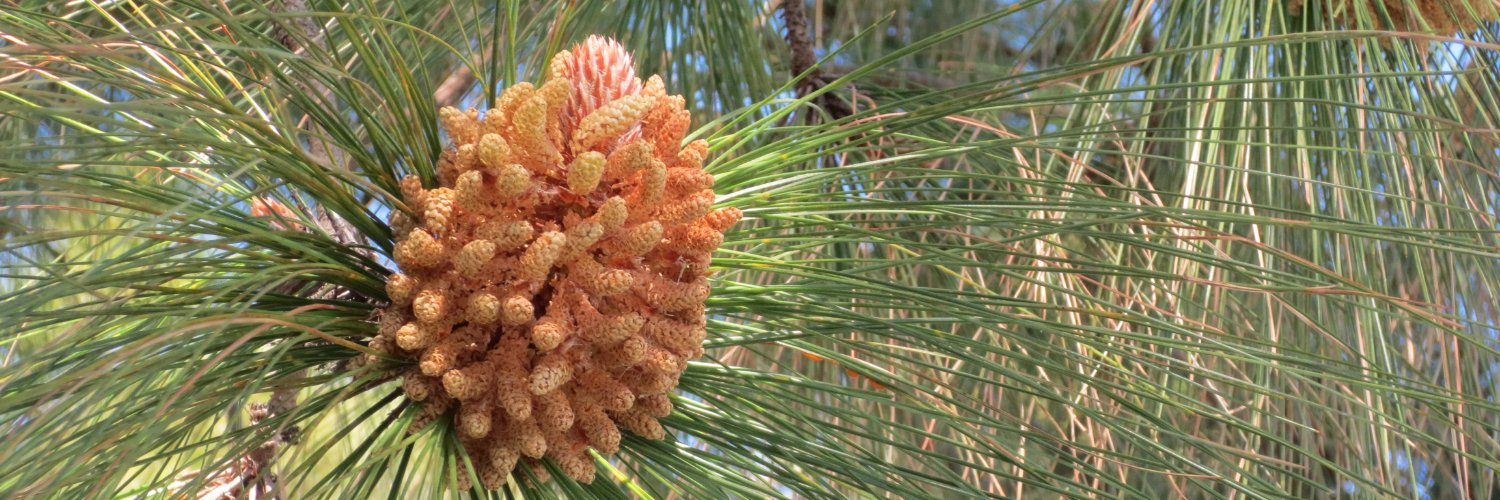 Deepa Agarwal banner