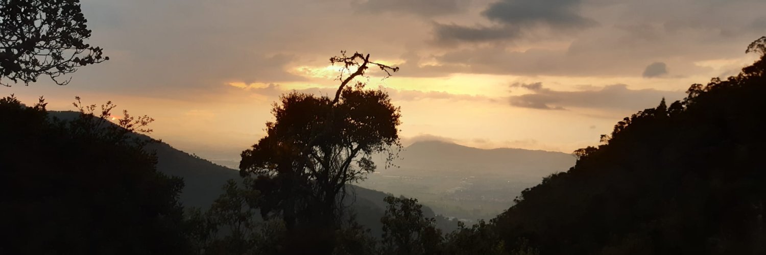 Gabriela Bucher banner