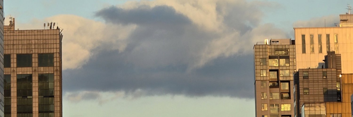 pujarismaa's profile banner image