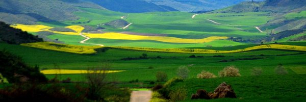 ereis73 Profile Banner