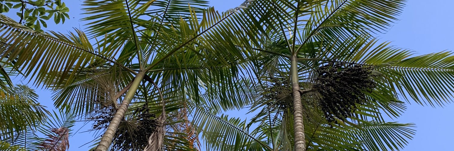 hannahckarris's profile banner image