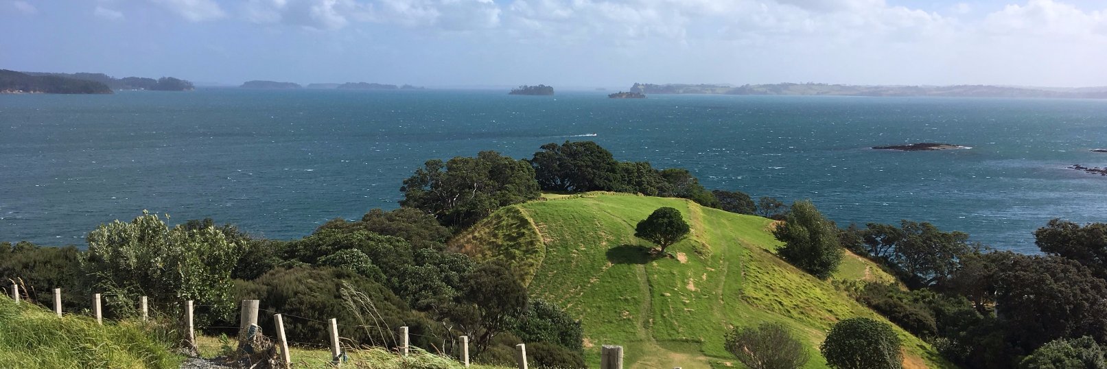 Angélique Caranta banner