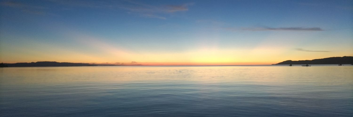 an81t's profile banner image