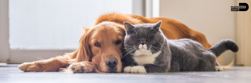 Miami-Dade County Animal Services banner