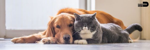 AdoptMiamiPets Profile Banner