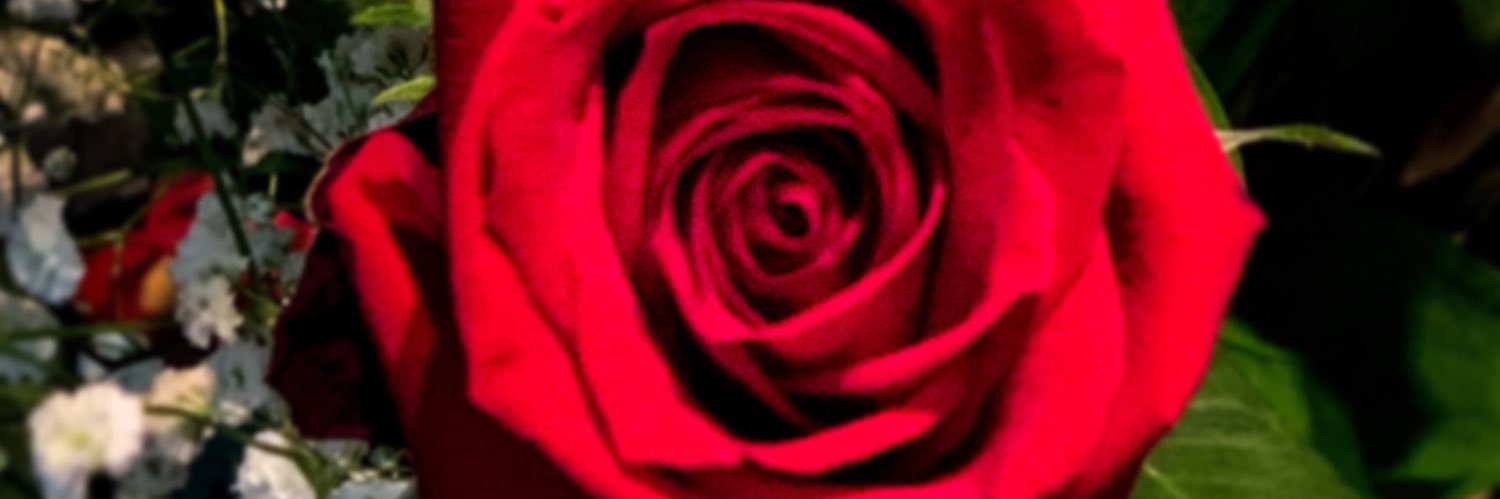 DulcePecado's profile banner image