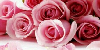 merrywidyaaa's profile banner image