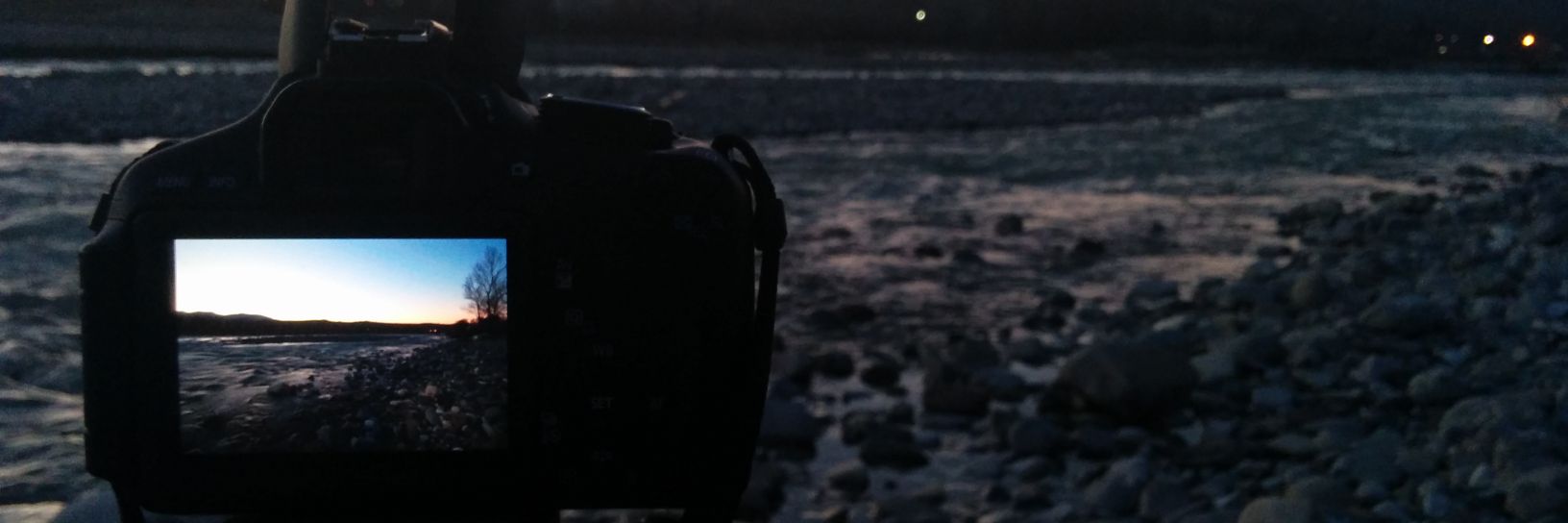 DPiccinotti's profile banner image