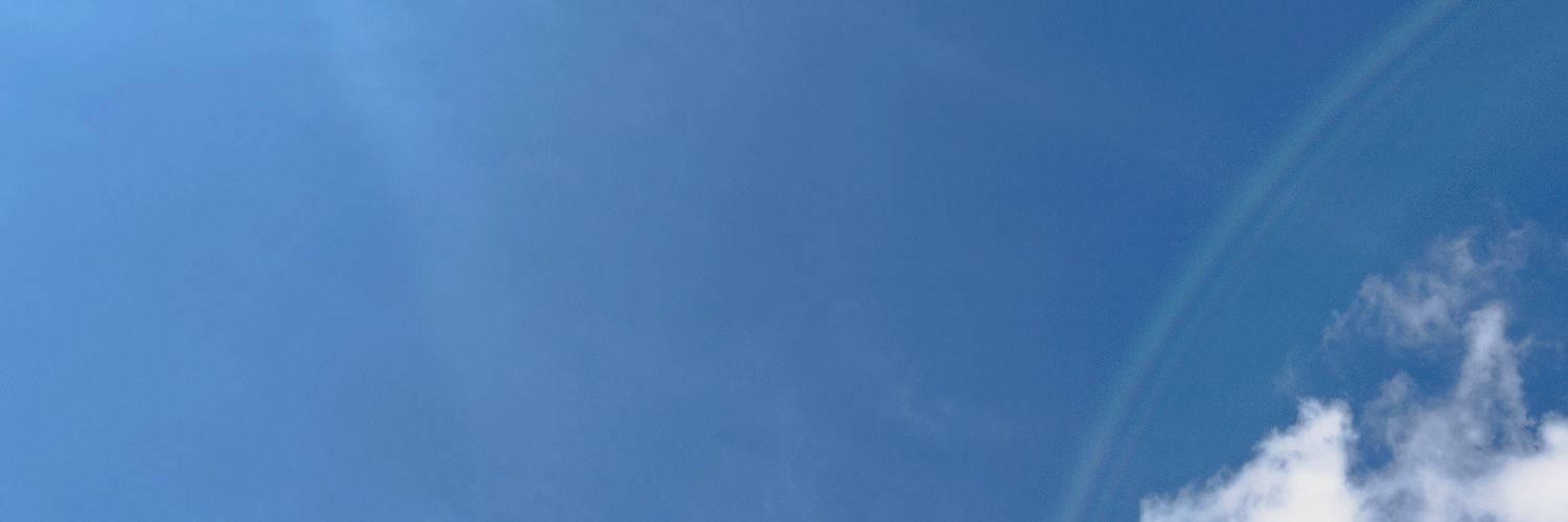 vinbryna's profile banner image