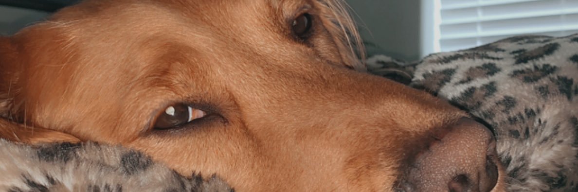 sha_nice8's profile banner image