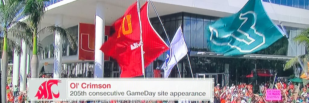 (11) Stephen Ford banner