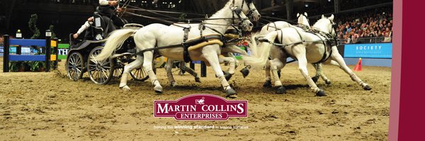 MCE_Surfaces Profile Banner