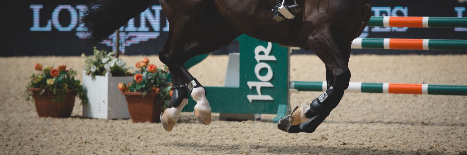 MC Equine Surfaces banner