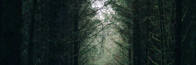 chervase's profile banner image