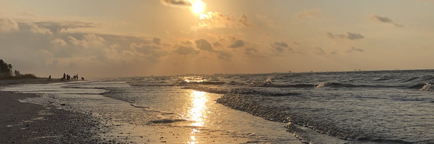 Heather DeLashmutt banner