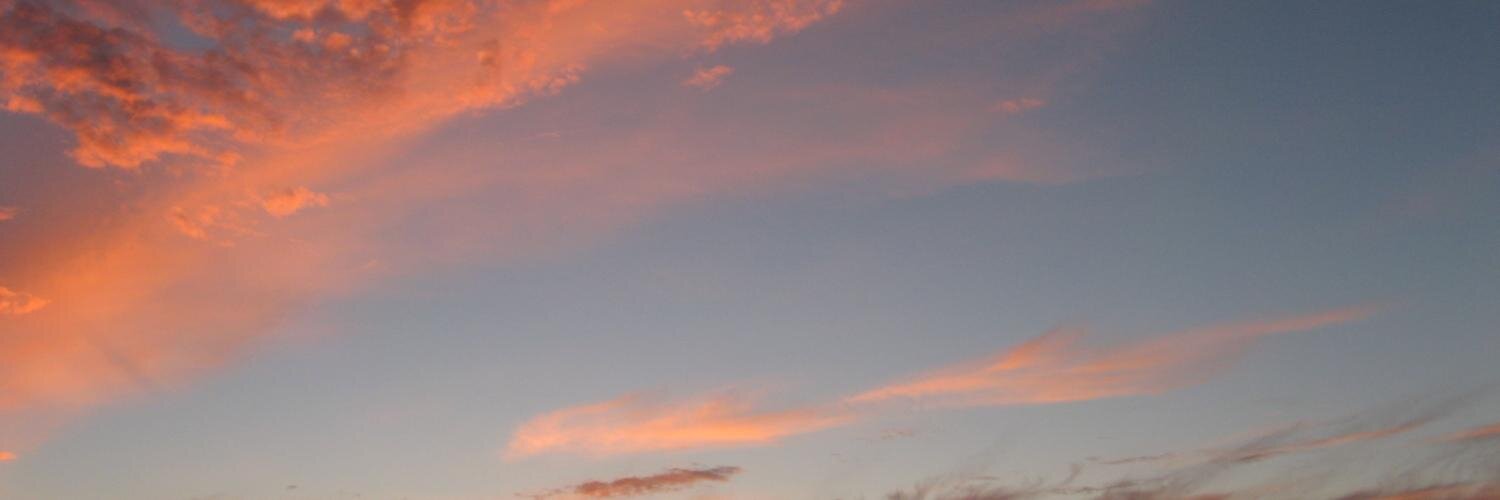 LouiseFishe's profile banner image