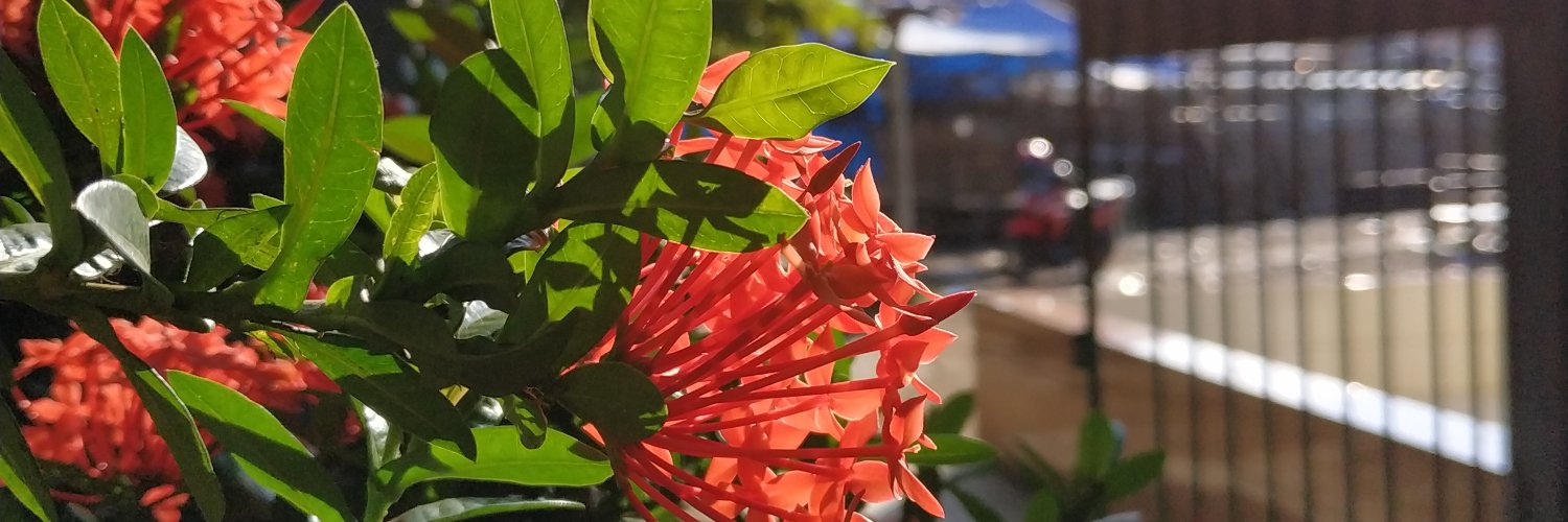 MohShobani's profile banner image