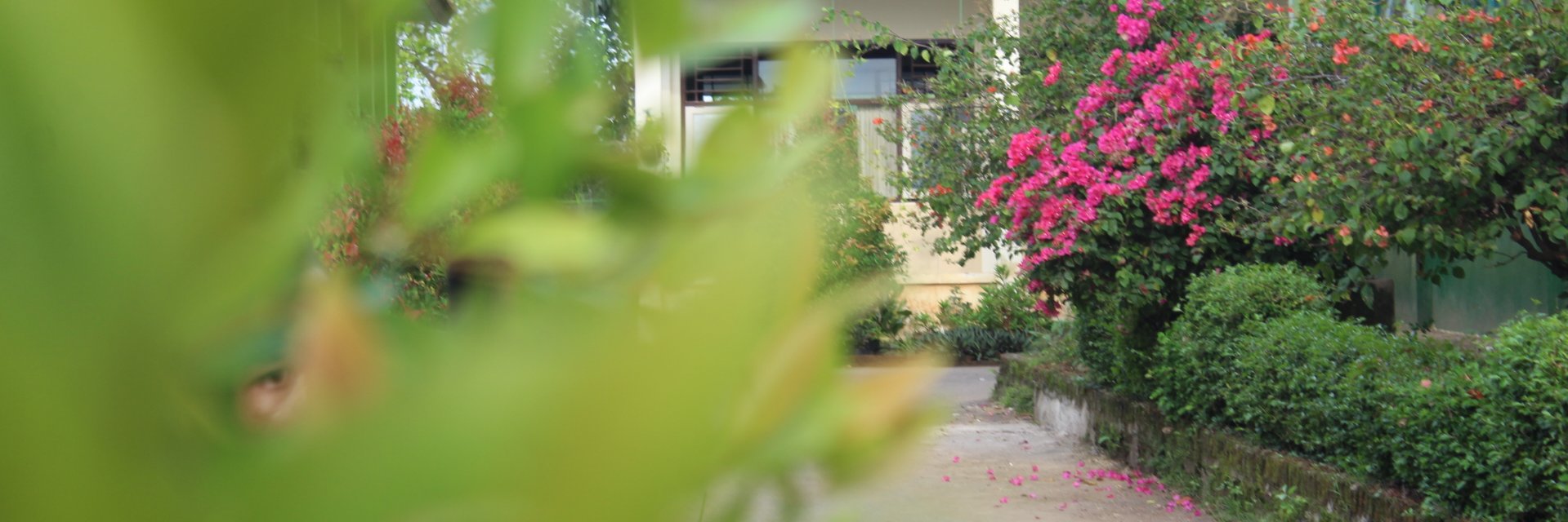 anzasfebriyana's profile banner image
