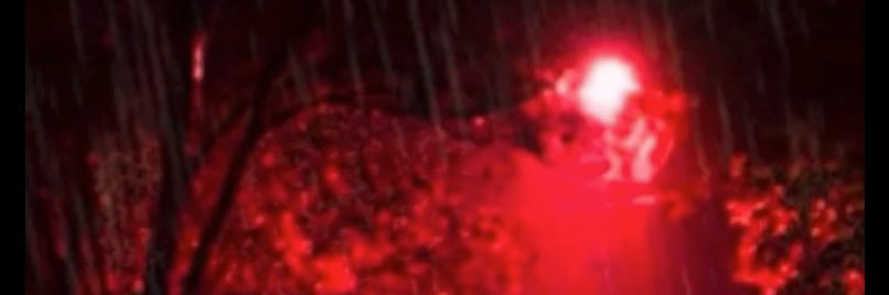 Lorenapoline's profile banner image