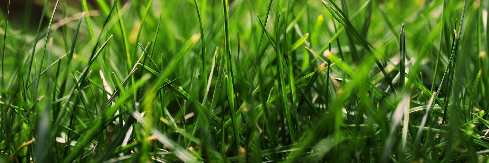 ukhfiii's profile banner image