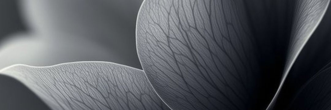 immaddy006's profile banner image
