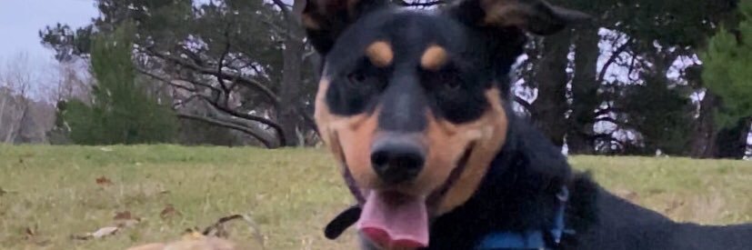 ally_downs's profile banner image