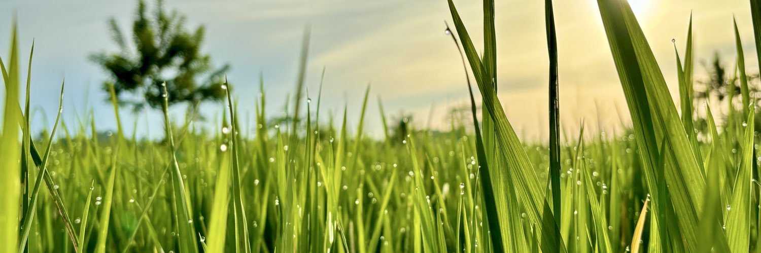 ポレポレ｜50代の静かな暮らしとヨガ　こうさく🧘＆なつこ🧘‍♀️ 川口市 banner