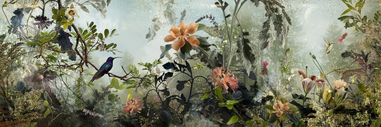 grickanje's profile banner image