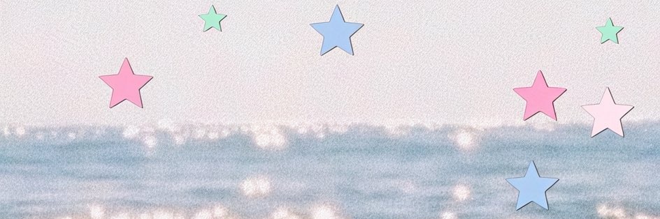 shin banner