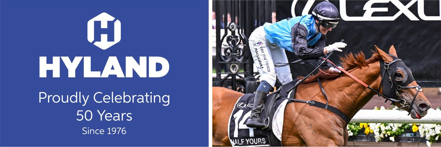 Hyland Sportswear banner