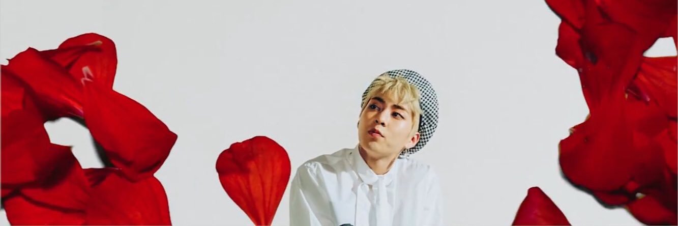 shushu326's profile banner image
