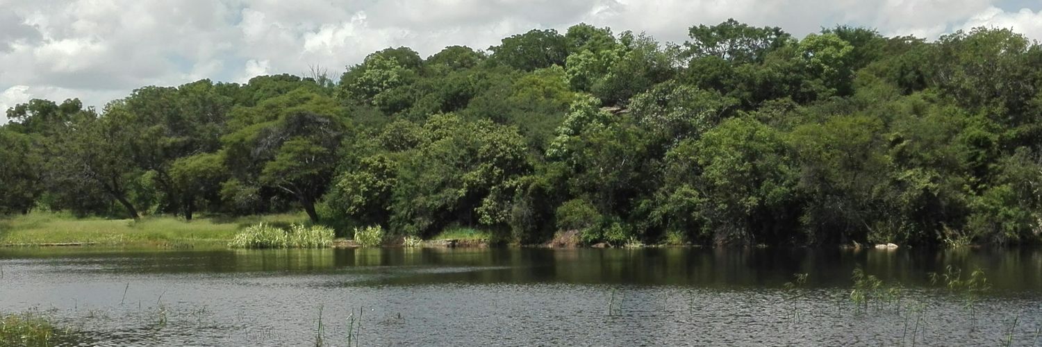 fai_mwale's profile banner image