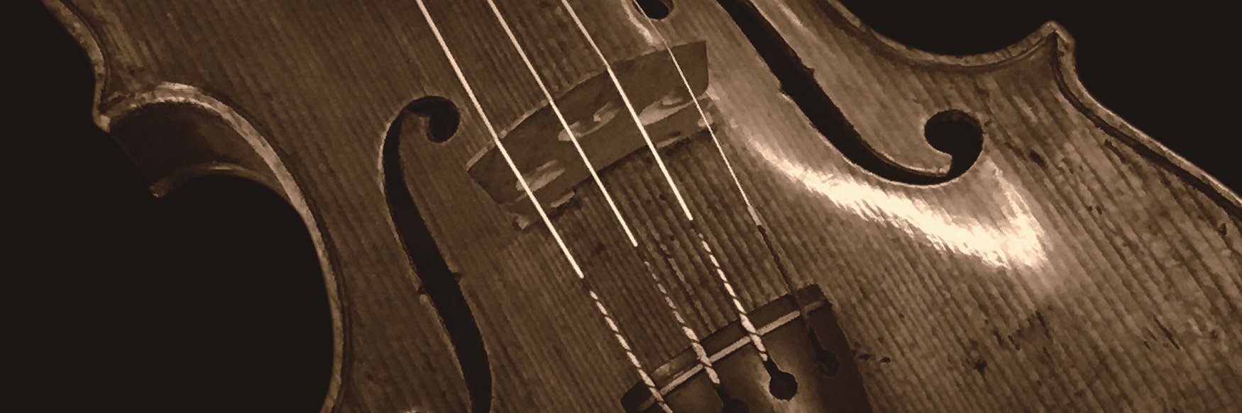 eurassicTokyo's profile banner image