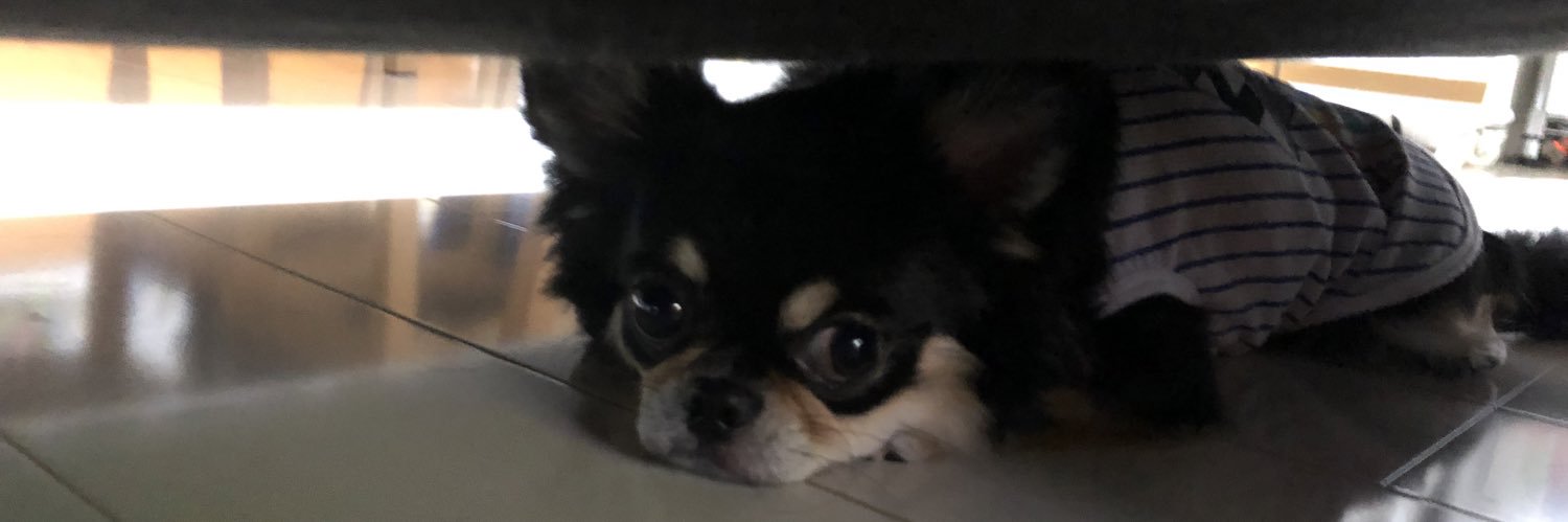 Shurabo's profile banner image