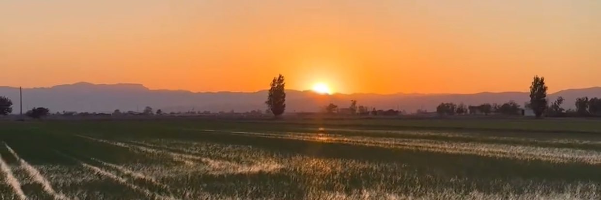 CrisCA_MX's profile banner image