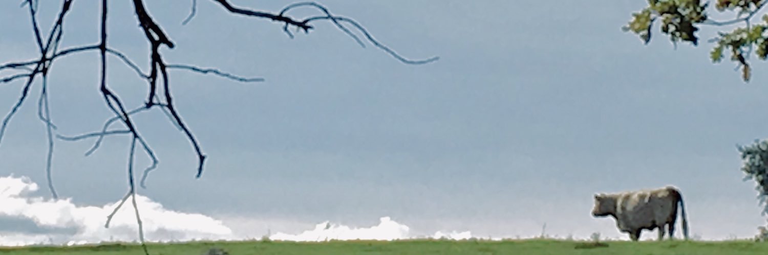 heideoes's profile banner image