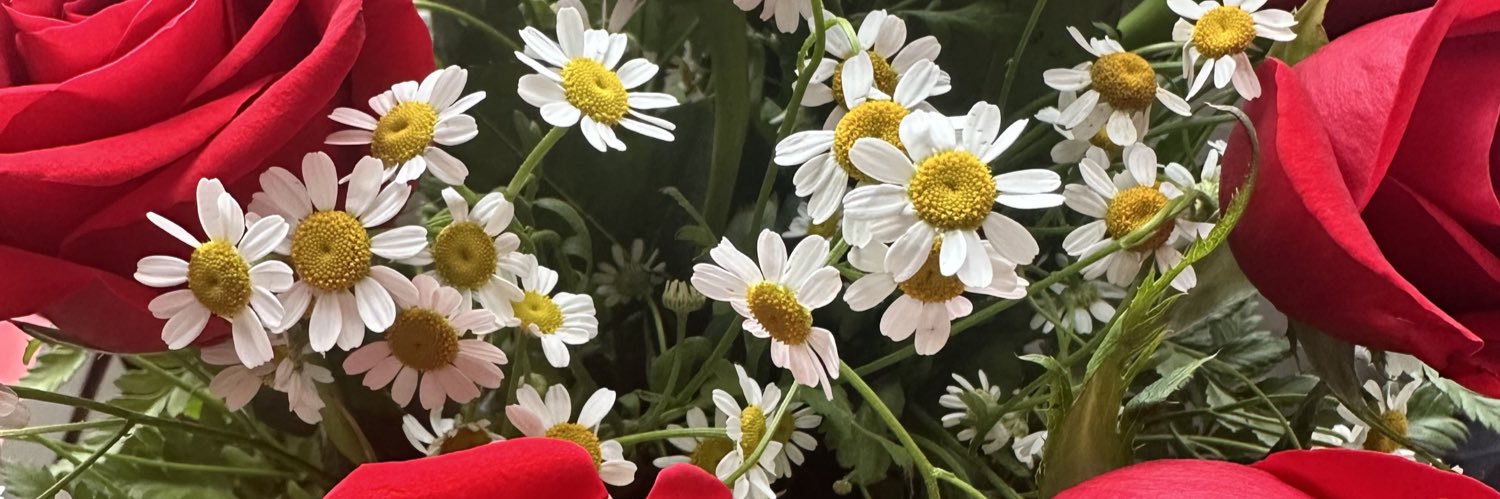VeeMadden's profile banner image