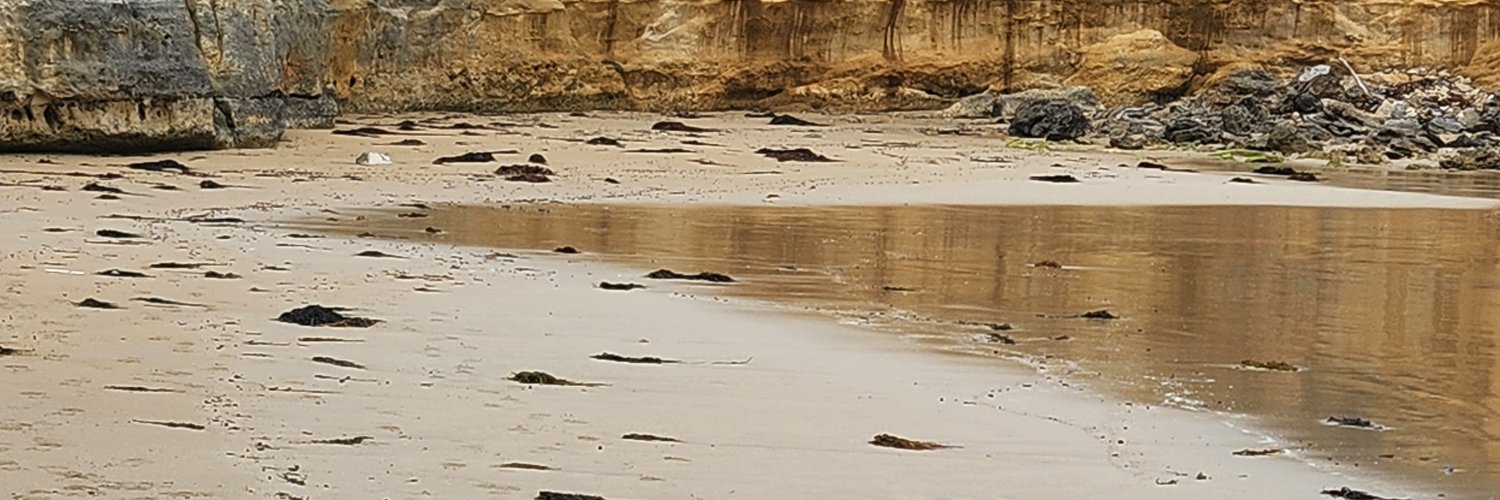 BeastScorpio's profile banner image