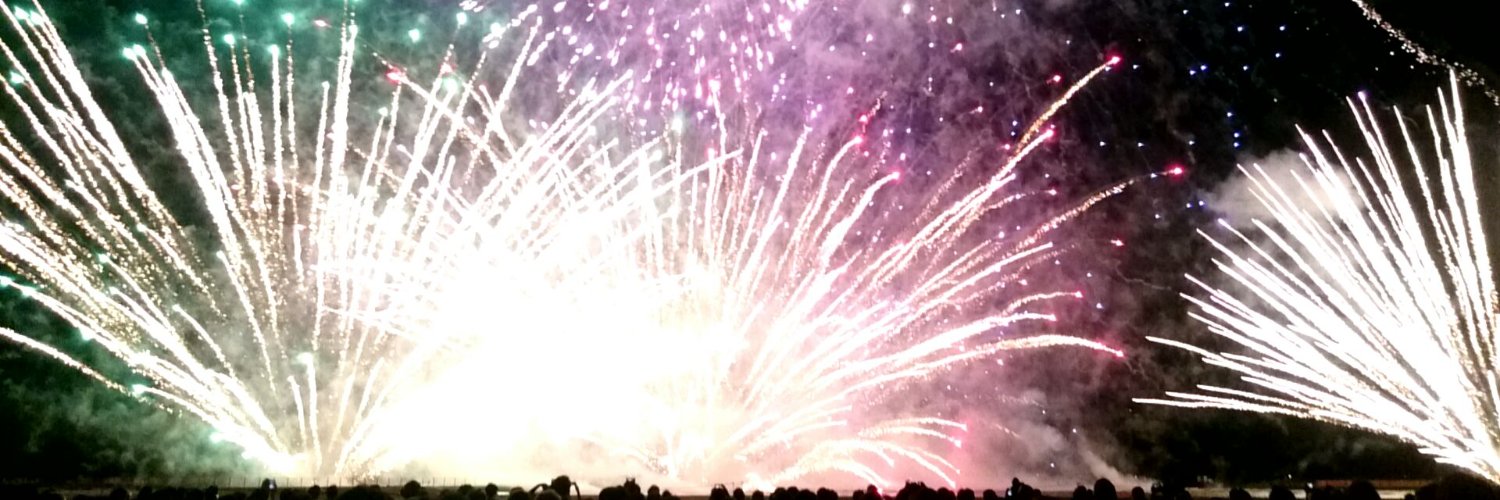 PENGUIN_No2's profile banner image