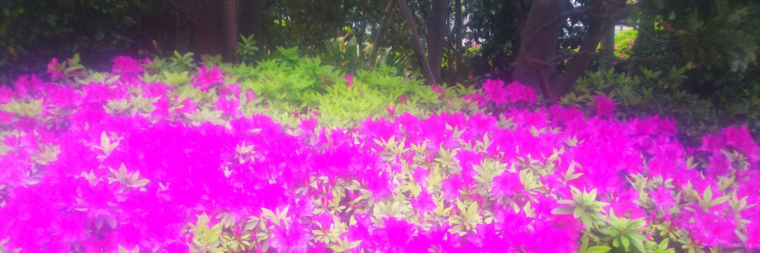 レイ banner