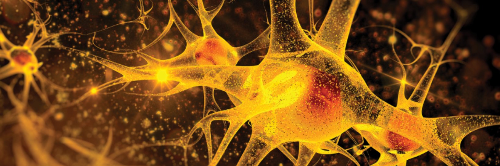 ScienceAlert's banner