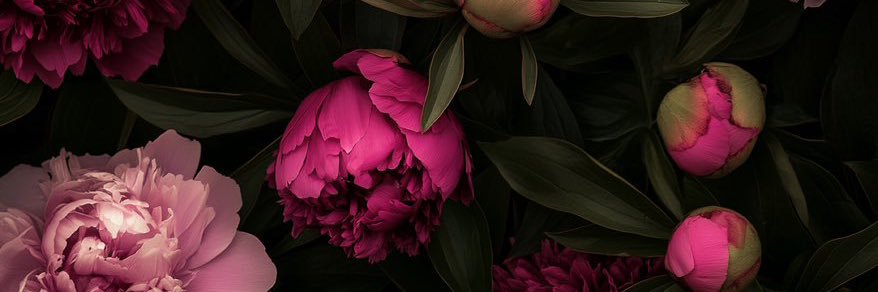 Bere AgMtz banner
