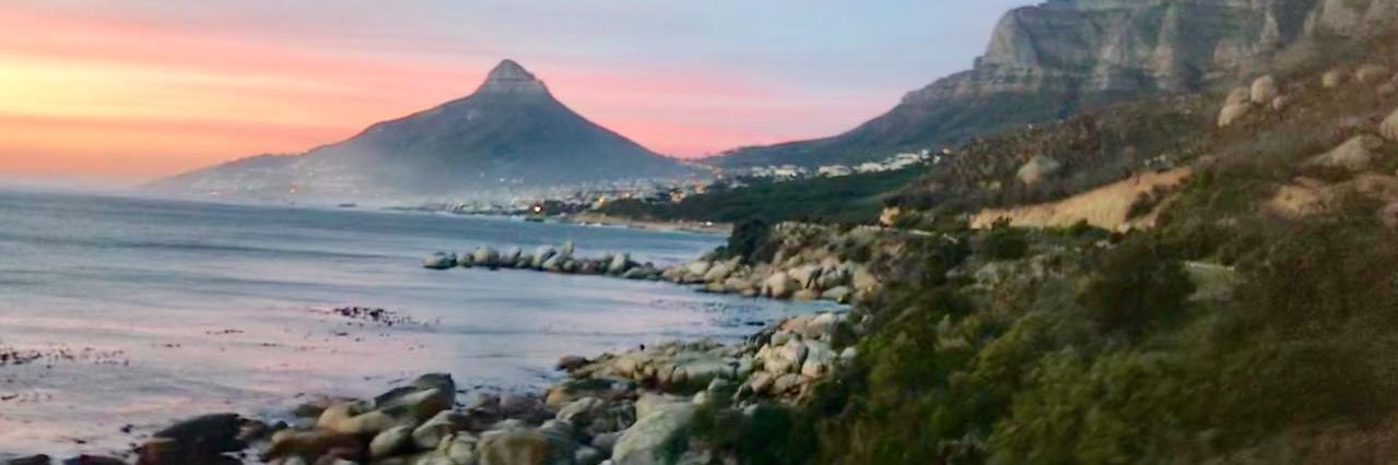 spinch_55 (💙,🧡) banner