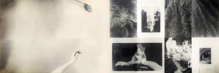 Lostheguns's profile banner image