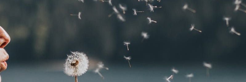 bbdyo's profile banner image