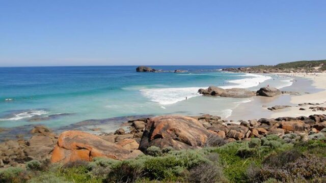 Manish Mohan 🇮🇳 banner